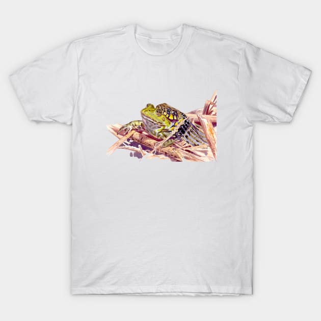 Grass Snake eating Edible Frog T-Shirt by kokayart